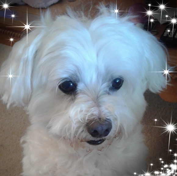 poosyq